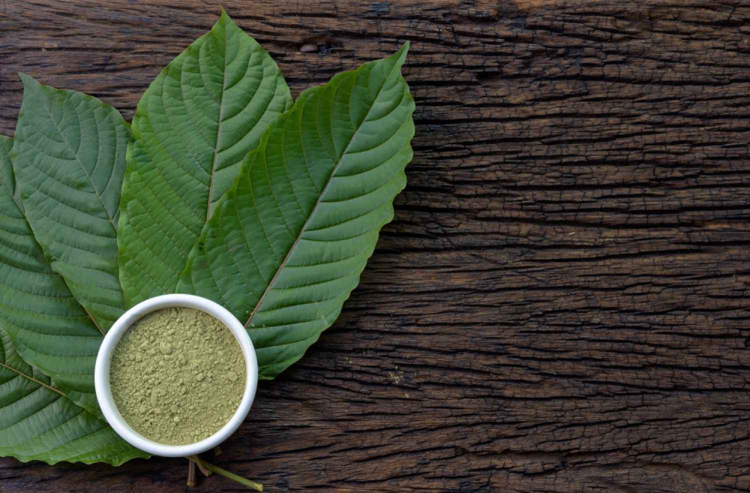 Kratom Strains